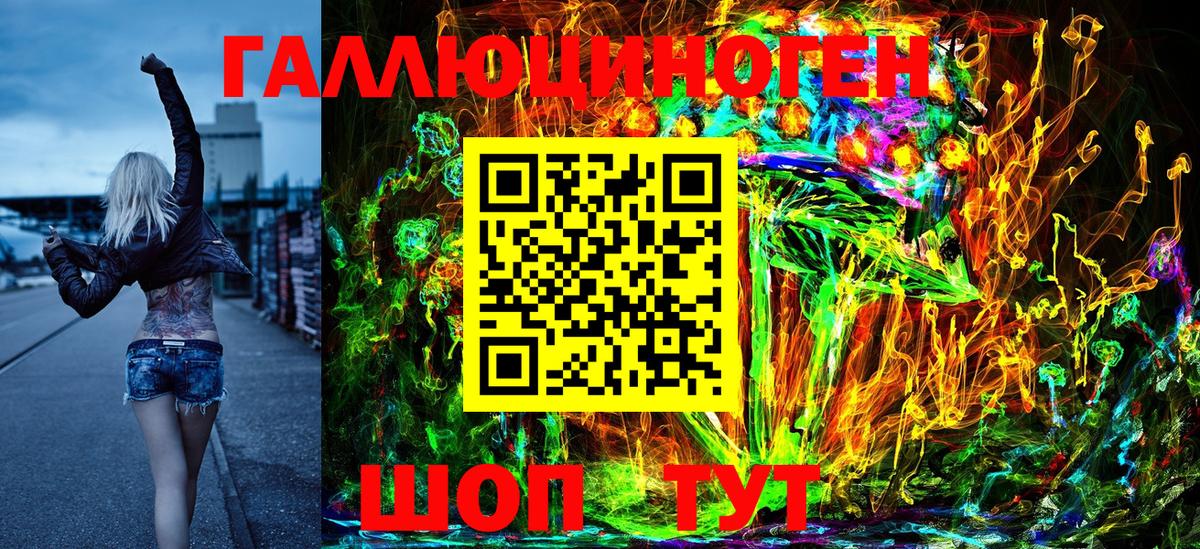 Галлюциногенные грибы Psilocybe Калуга