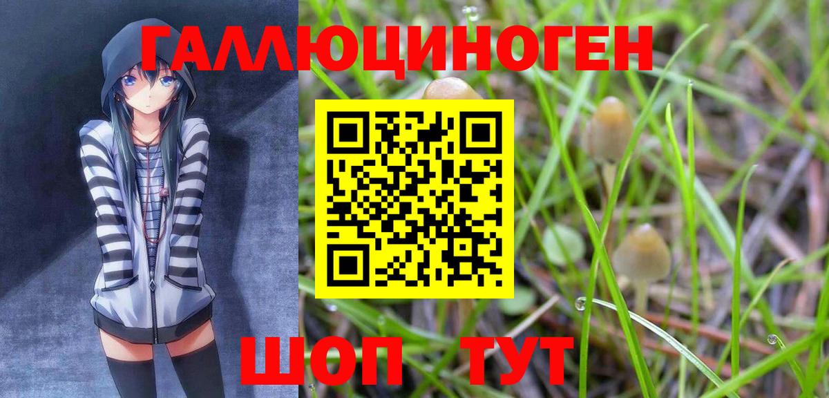 Калуга  Галлюциногенные грибы ЛСД  Вход с VPN 