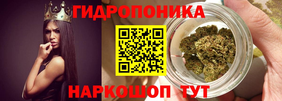 Шишки марихуана VHQ  Каннабис THC 21%  Вход с VPN  Калуга 